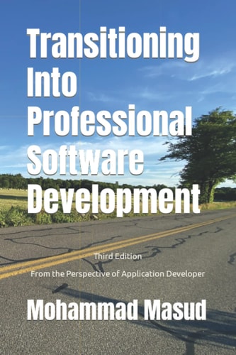 Transitioning Into Professional Software Development From the Perspective of Application Developer