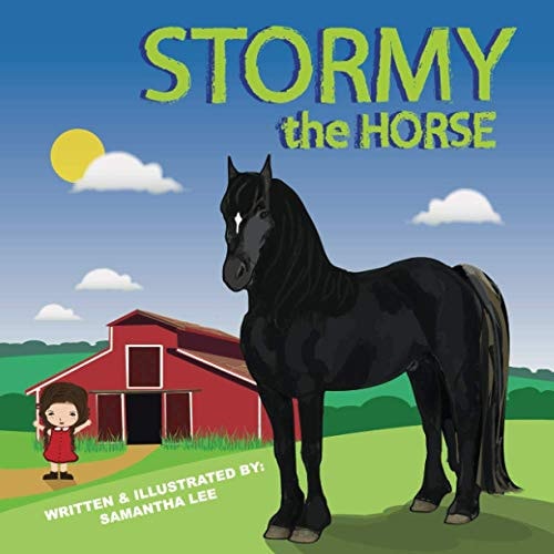 Stormy the Horse