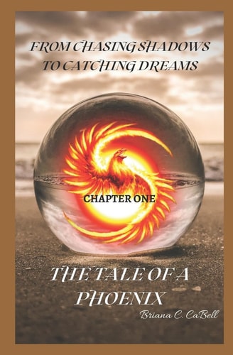 From Chasing To Catching Dreams The Tale Of A Phoenix