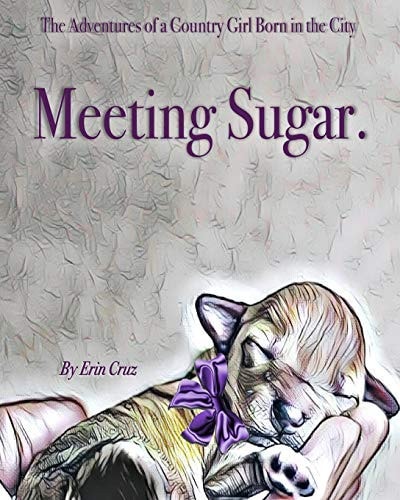 Meeting Sugar.