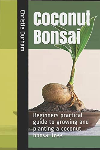 Coconut Bonsai Beginners Practical Guide to Growing and Planting a Coconut Bonsai Tree.