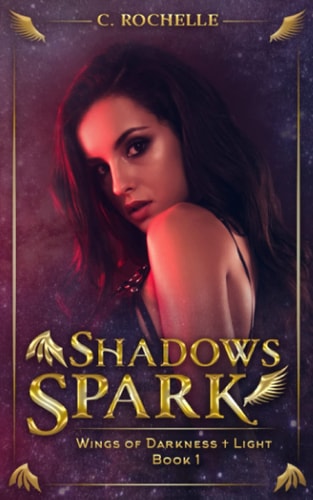Shadows Spark Wings of Darkness + Light Book 1