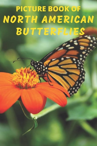 Picture Book of North American Butterflies A Gift/Present Book for Alzheimer's Patients, Seniors with Dementia And Adults Facing Life's Challenges - Extra-Large Colored Pictures with Names