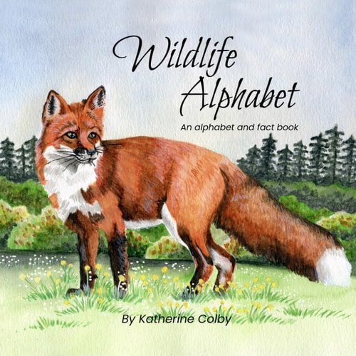 Wildlife Alphabet An Alphabet and Fact Book