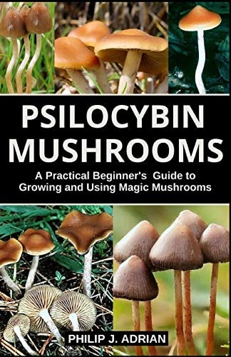 Psilocybin Mushrooms A Practical Beginners Guide to Growing and Using Magic Mushrooms Indoors