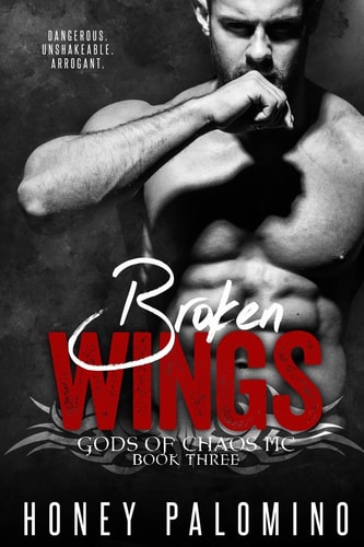 Broken Wings Gods of Chaos MC (Book Three)