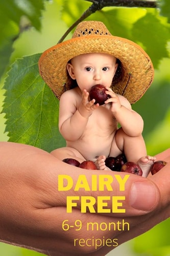 Dairy Free Recipes 6-9 Months