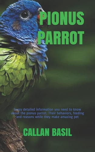 Pionus Parrot Every Detailed Information You Need to Know about the Pionus Parrot. Their Behaviors, Feeding and Reasons While They Make Amazing Pet