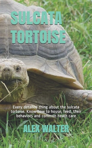 Sulcata Tortoise Every Detailed Thing about the Sulcata Tortoise. Know how to House, Feed, Their Behaviors and Common Heath Care