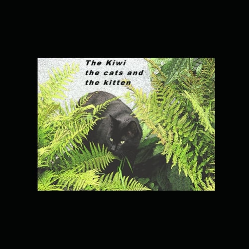 The Kiwi The Cats and The Kitten Starlight the Shelter Cat Gets Lost in the Forest