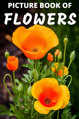 Picture Book of Flowers Colorful Extra-Large Print Flower Pictures with Names A Gift/Present Book for Alzheimer's Patients and Seniors with Dementia 52 Pages