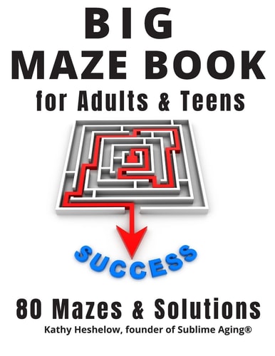 Big MAZE Book for Adults and Teens, 80 Mazes and Solutions Challenging Maze Brain Teasers for Endless Fun