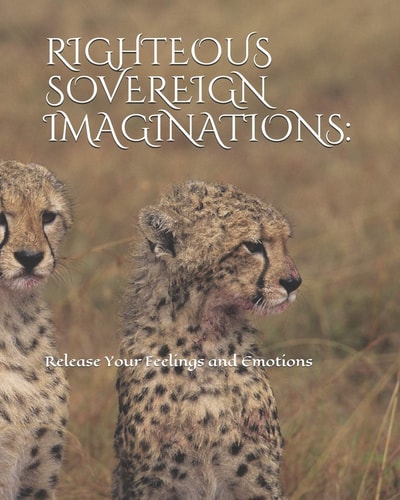 Righteous Sovereign Imaginations Release Your Feelings and Emotions