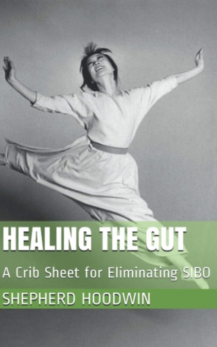 Healing the Gut A Crib Sheet for Eliminating SIBO