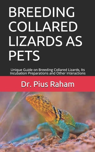 Breeding Collared Lizards as Pets Unique Guide on Breeding Collared Lizards, Its Incubation Preparations and Other Interactions