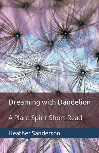Dreaming with Dandelion A Plant Spirit Short Read