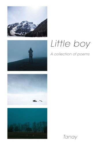 Little Boy A Collection of Poems