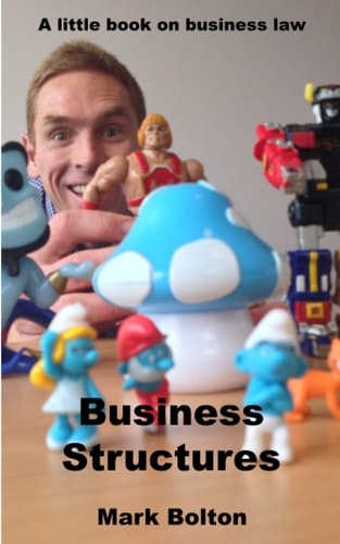 Business Structures A Little Book on Business Law