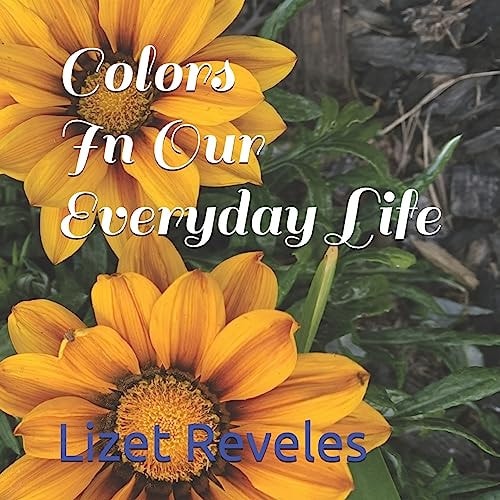 Colors In Our Everyday Life