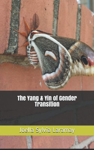 The Yang and Yin of Gender Transition
