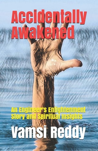 Accidentally Awakened An Engineer's Enlightenment Story and Spiritual Insights