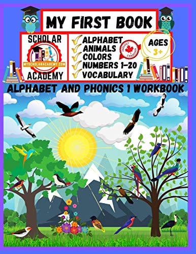 My First Book The Alphabet and Phonics 1 Workbook