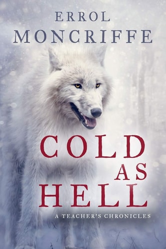 Cold as Hell A Teacher's Chronicles