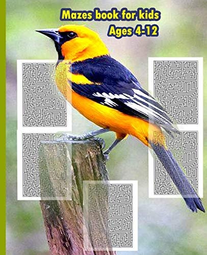 Mazes Book For Kids Ages 4-12 Fun and Challenge with Mazes for Kids, Size 7.5'x9.25' - 154 Pages