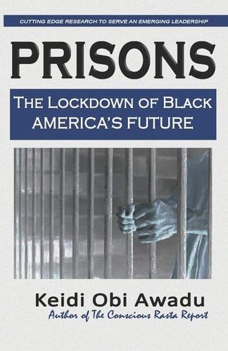 Prisons The Lockdown of Black / America's Future