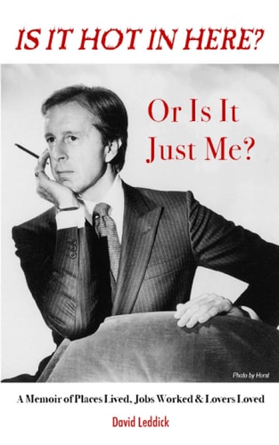 Is it Hot in Here Or Is it Just Me? A Memoir of Places Lived, Jobs Worked & Lovers Loved