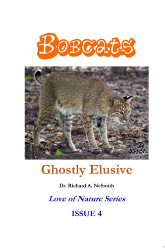 Bobcats: Ghostly Elusive