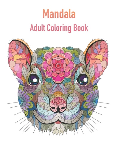 Mandala Adult Coloring Book Coloring Book for Adults with 50 Detailed Mandalas for Stress Relief and Good Mood