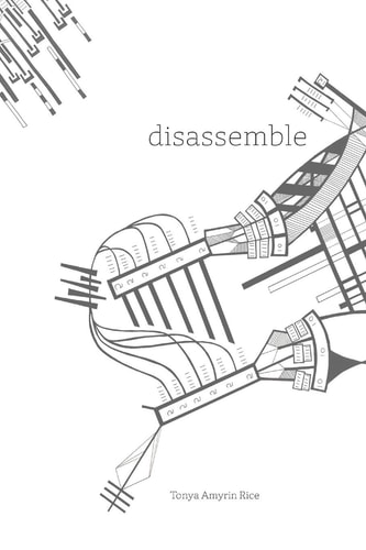 Disassemble