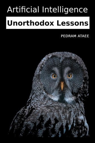 Artificial Intelligence: Unorthodox Lessons How to Gain Insight and Build Innovative Solutions