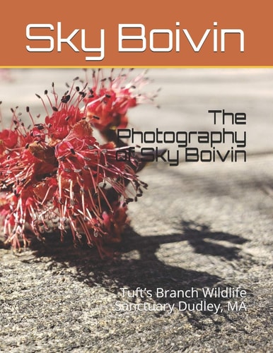 The Photography of Sky Boivin Tuft's Branch Wildlife Sanctuary Dudley, MA