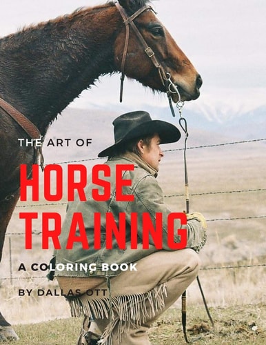 The Art of Horse Training A Coloring Book