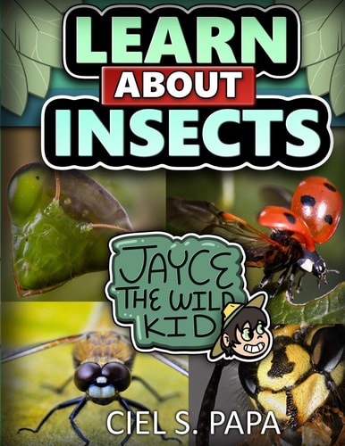 Learn About Insects Jayce The Wild Kid