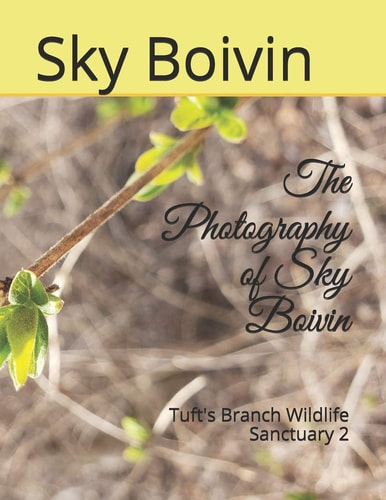 The Photography of Sky Boivin Tuft's Branch Wildlife Sanctuary 2
