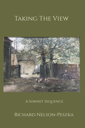 Taking The View A Sonnet Sequence
