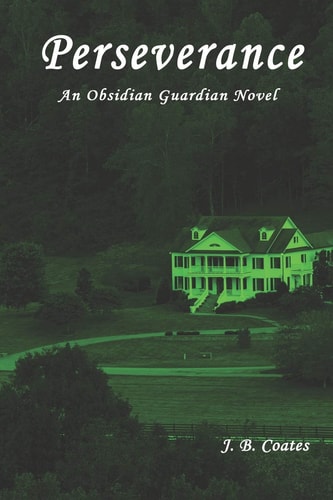 Perserverance An Obsidian Guardian Novel
