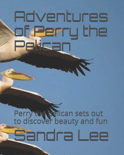 Adventures of Perry the Pelican Perry the Pelican Sets Out to Discover Beauty and Fun