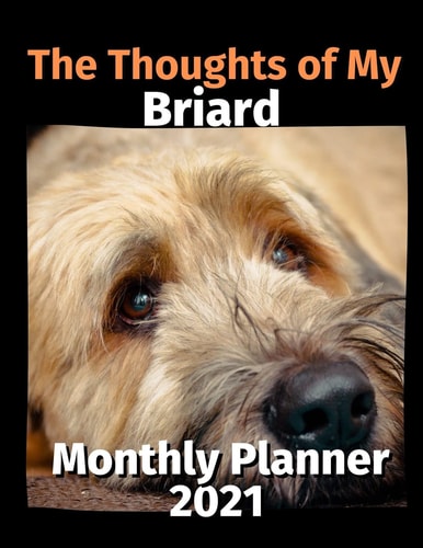 The Thoughts of My Briard Monthly Planner 2021