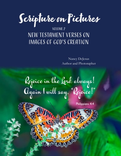 Scripture on Pictures Vol 2 New Testament Verses on Images of God's Creation