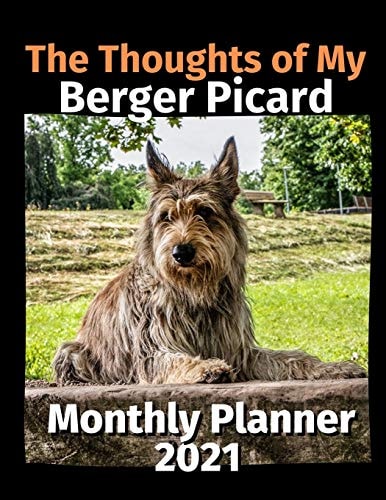 The Thoughts of My Berger Picard Monthly Planner 2021