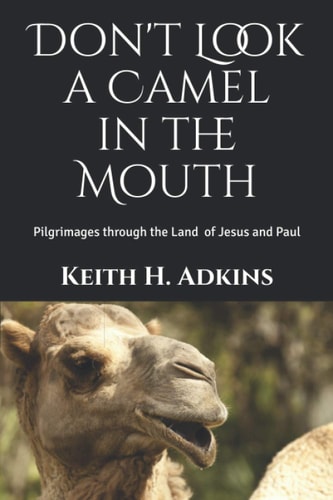 Don't Look a Camel in the Mouth Pilgrimages Through the Land of Jesus and Paul