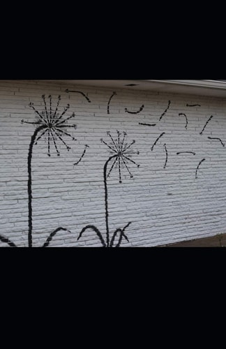 Sunflower Bones A Collection of Poetry