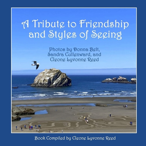 A Tribute to Friendship and Styles of Seeing Photos by Donna Belt, Sandra Cullenward, and Cleone Lyvonne Reed