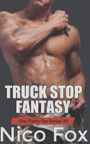Truck Stop Fantasy A Gay Public Sex Story
