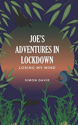 Joe's Adventures in Lockdown Losing My Mind