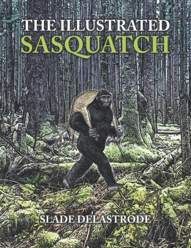 The Illustrated Sasquatch